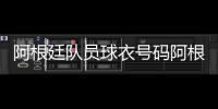 阿根廷隊員球衣號碼阿根廷隊員