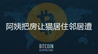 阿姨把房讓貓居住鄰居遭殃 異味擾民引糾紛