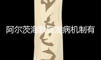阿爾茨海默病發(fā)病機(jī)制有新發(fā)現(xiàn)