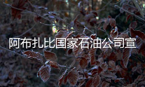 阿布扎比國家石油公司宣布天然氣項目合同價值近170億美元