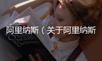 阿里納斯（關于阿里納斯的基本情況說明介紹）