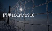 阿里10CrMo910合金管10Cr9Mo1VNB合金管質(zhì)量好