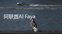 阿聯酋Al Faya Lodge酒店，沙漠中的世外桃源（組圖）