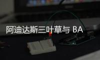 阿迪達斯三葉草與 BAPE 再次推出 Stan Smith 聯名鞋款
