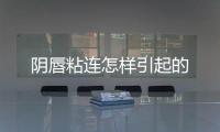 陰唇粘連怎樣引起的