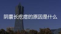 陰囊長疙瘩的原因是什么，男人這里出事可能是疾病導致，別佛系