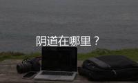 陰道在哪里？