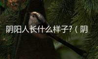 陰陽人長什么樣子?（陰陽人的圖片）