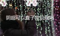 陰超可以查子宮肌瘤嗎