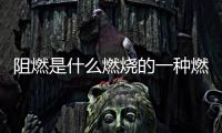 阻燃是什么燃燒的一種燃燒形式 什么叫阻燃