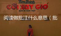 閱讀做批注什么意思（批注什么意思）