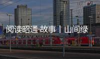 閱讀昭通·故事丨山間綠色守護人 ——黃宗友的23年護林人生
