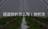 閱讀賞析怎么寫（賞析怎么寫）