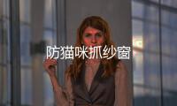防貓咪抓紗窗