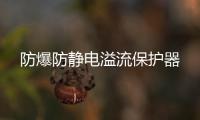 防爆防靜電溢流保護器