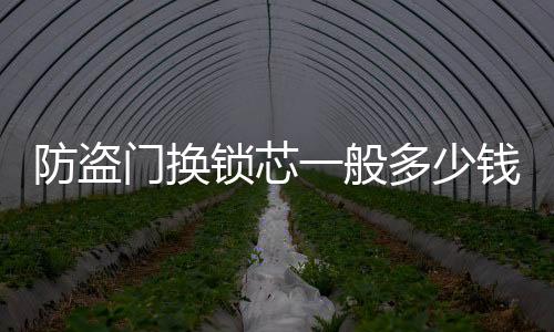防盜門換鎖芯一般多少錢