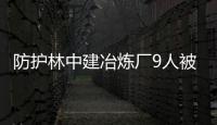 防護林中建冶煉廠9人被判修復生態