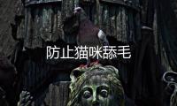 防止貓咪舔毛