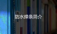 防水焊條簡介