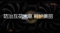 防治互花米草 呵護美麗海岸
