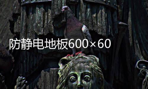 防靜電地板600×600的價格（防靜電地面）