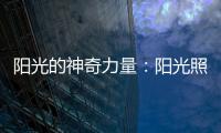 陽光的神奇力量：陽光照射對備孕寶媽的影響和好處