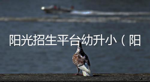 陽光招生平臺幼升小（陽光招生）