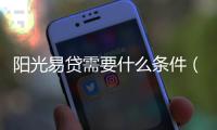 陽光易貸需要什么條件（陽光易貸）