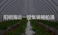 陽明海運一艘集裝箱船遇巨浪83個貨柜落海