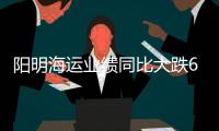 陽明海運業(yè)績同比大跌65%稱集運業(yè)前景面臨長期挑戰(zhàn)