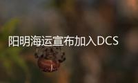 陽明海運(yùn)宣布加入DCSA 推動(dòng)航運(yùn)業(yè)資訊升級(jí)