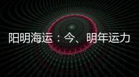 陽明海運：今、明年運力供過于求，正研究建造環保新船