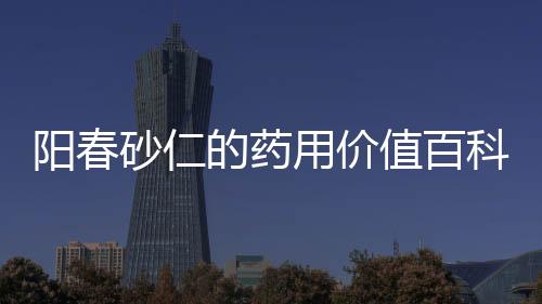 陽春砂仁的藥用價(jià)值百科