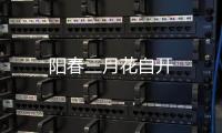 陽春三月花自開