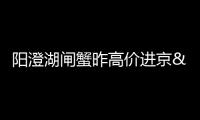 陽澄湖閘蟹昨高價進京 每只都有防偽鎖扣