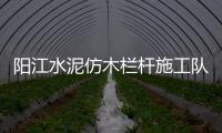陽江水泥仿木欄桿施工隊——友翠圍欄