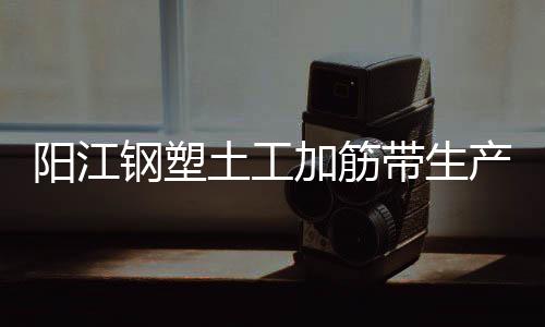 陽江鋼塑土工加筋帶生產(chǎn)廠家