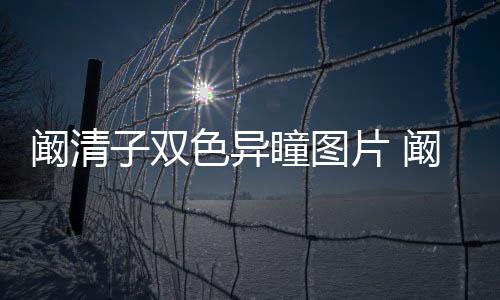 闞清子雙色異瞳圖片 闞清子的眼睛自帶美瞳太動人