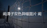 闞清子雙色異瞳圖片 闞清子的眼睛自帶美瞳太動人