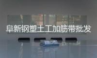 阜新鋼塑土工加筋帶批發價格