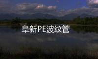 阜新PE波紋管