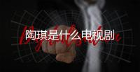 陶琪是什么電視劇