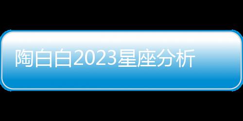 陶白白2023星座分析