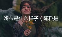 陶粒是什么樣子（陶粒是什么）