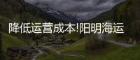降低運營成本!陽明海運欲退租高價船節(jié)省10億臺幣