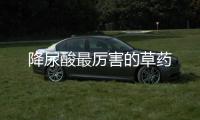 降尿酸最厲害的草藥
