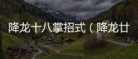 降龍十八掌招式（降龍廿八掌）