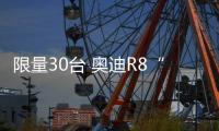 限量30臺 奧迪R8“獵豹”特別版官圖發布