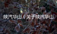 陜汽華山（關于陜汽華山的基本情況說明介紹）