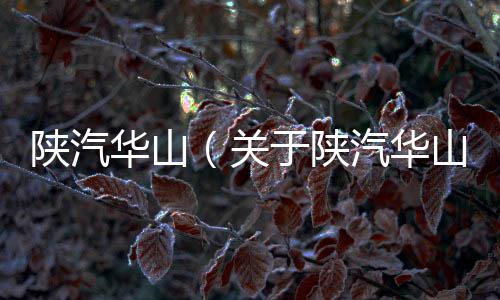 陜汽華山（關于陜汽華山的基本情況說明介紹）